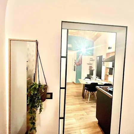 New Look8 Vatican רומא